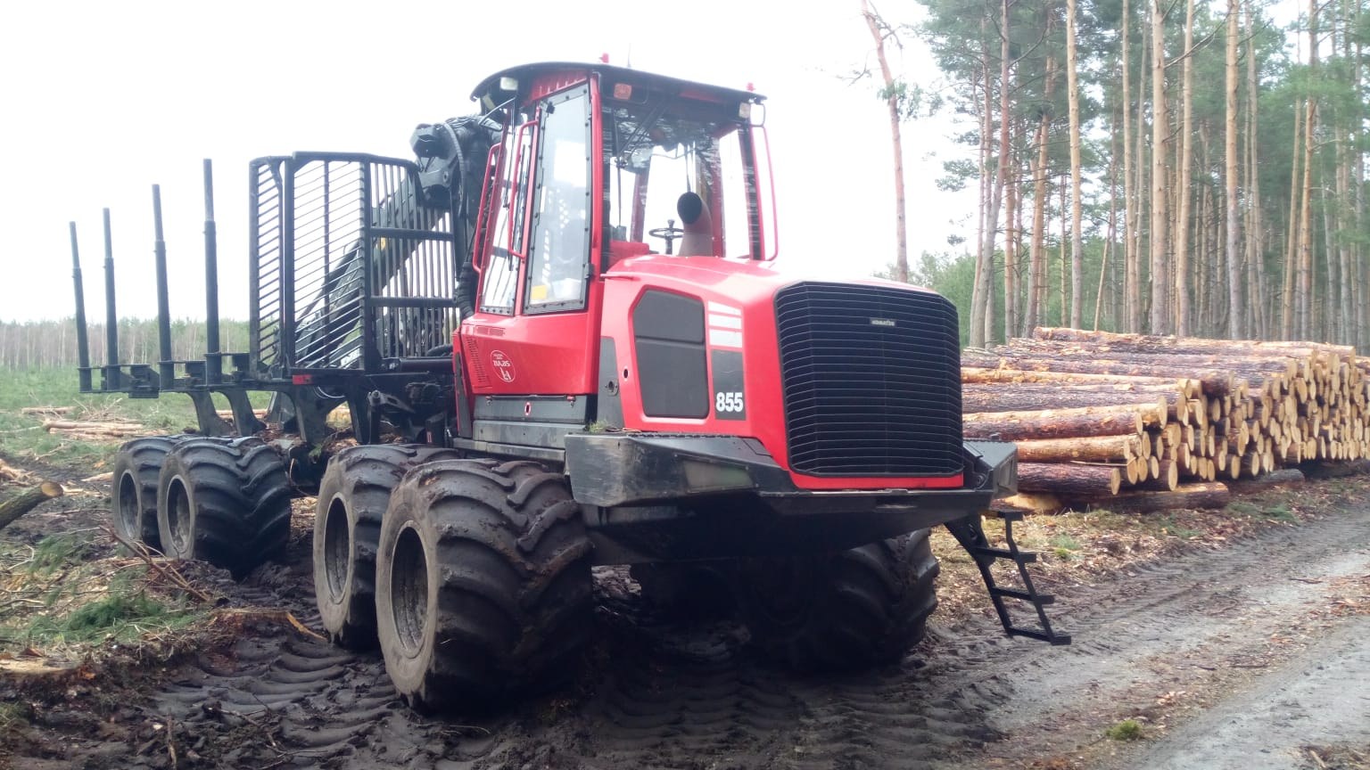Forwarder przy surowcu drzewnym