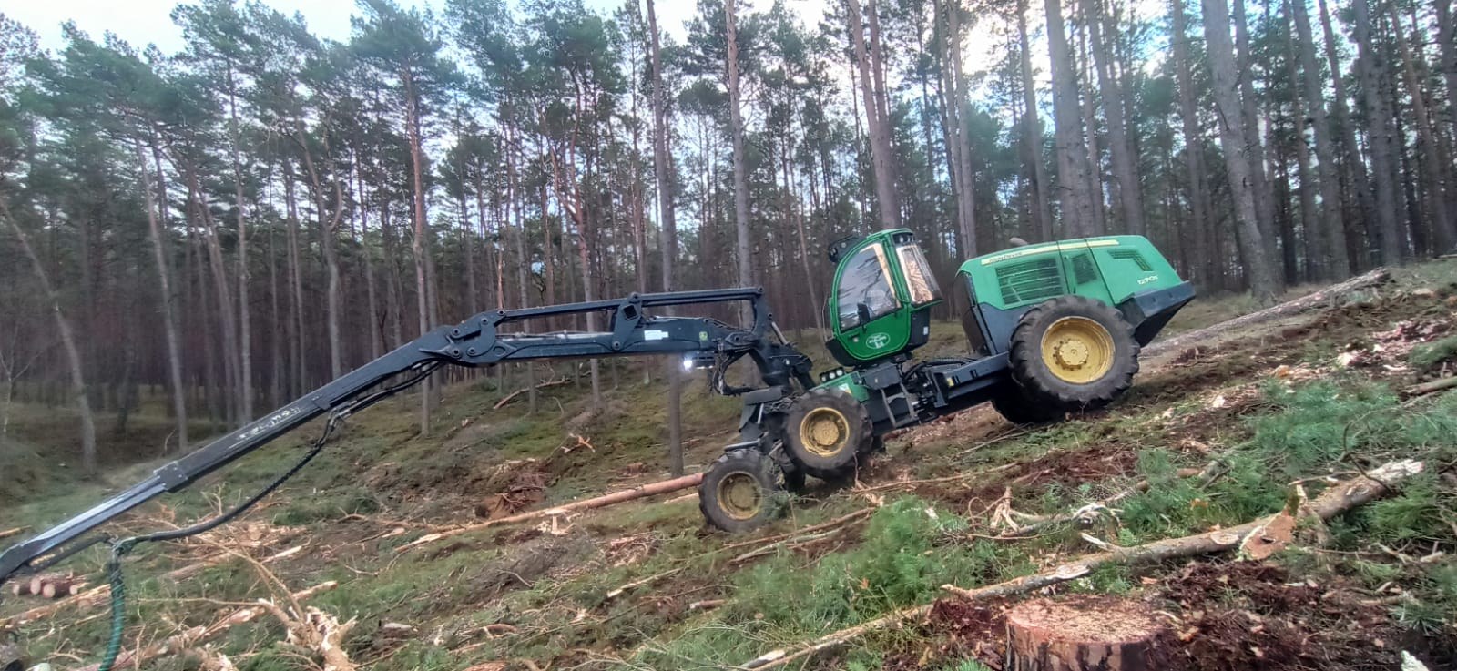 Zrywka i transport drewna